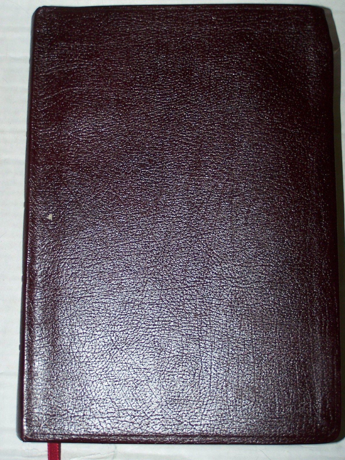 The NIV Study Bible: New International Version