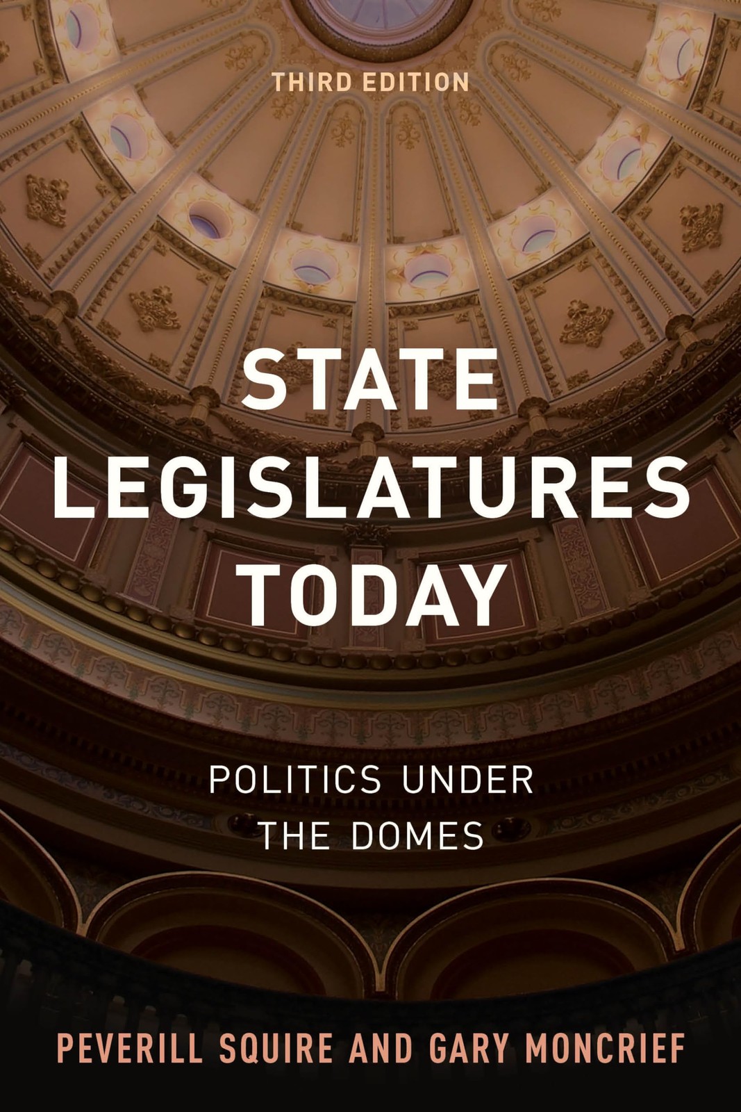 State Legislatures Today: Politics under the Domes - VERY GOOD