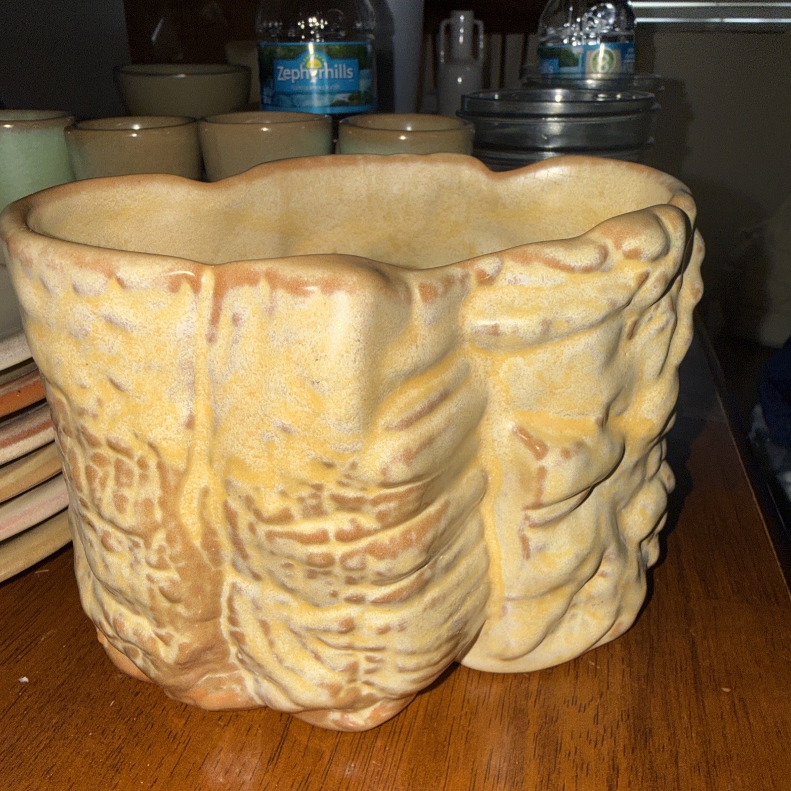 Frankoma Pottery Planter Ivory Tree Bark Vase Pot Vintage USA Brown Cream MCM Frankoma Pottery Planter Ivory Tree Bark Vase Pot Vintage USA Brown Cream MCM