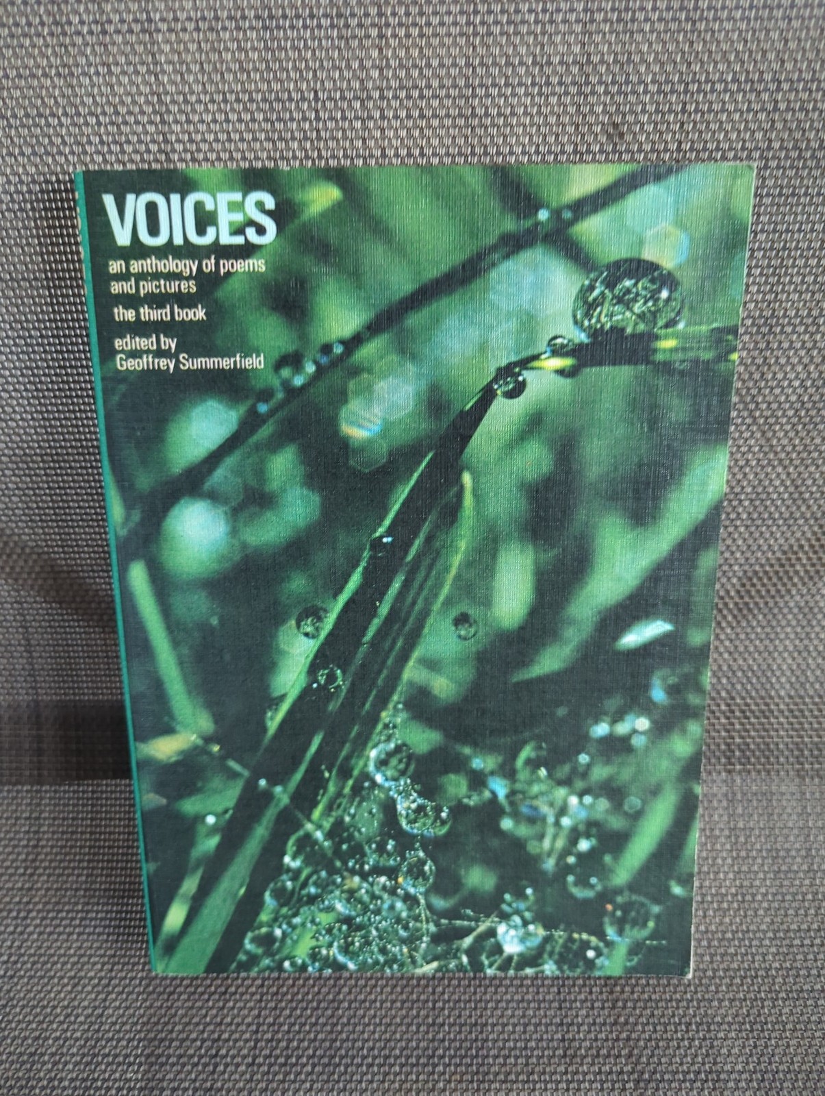 Voices: An Anthology of Poems and Pictures — The Third Book 1969
