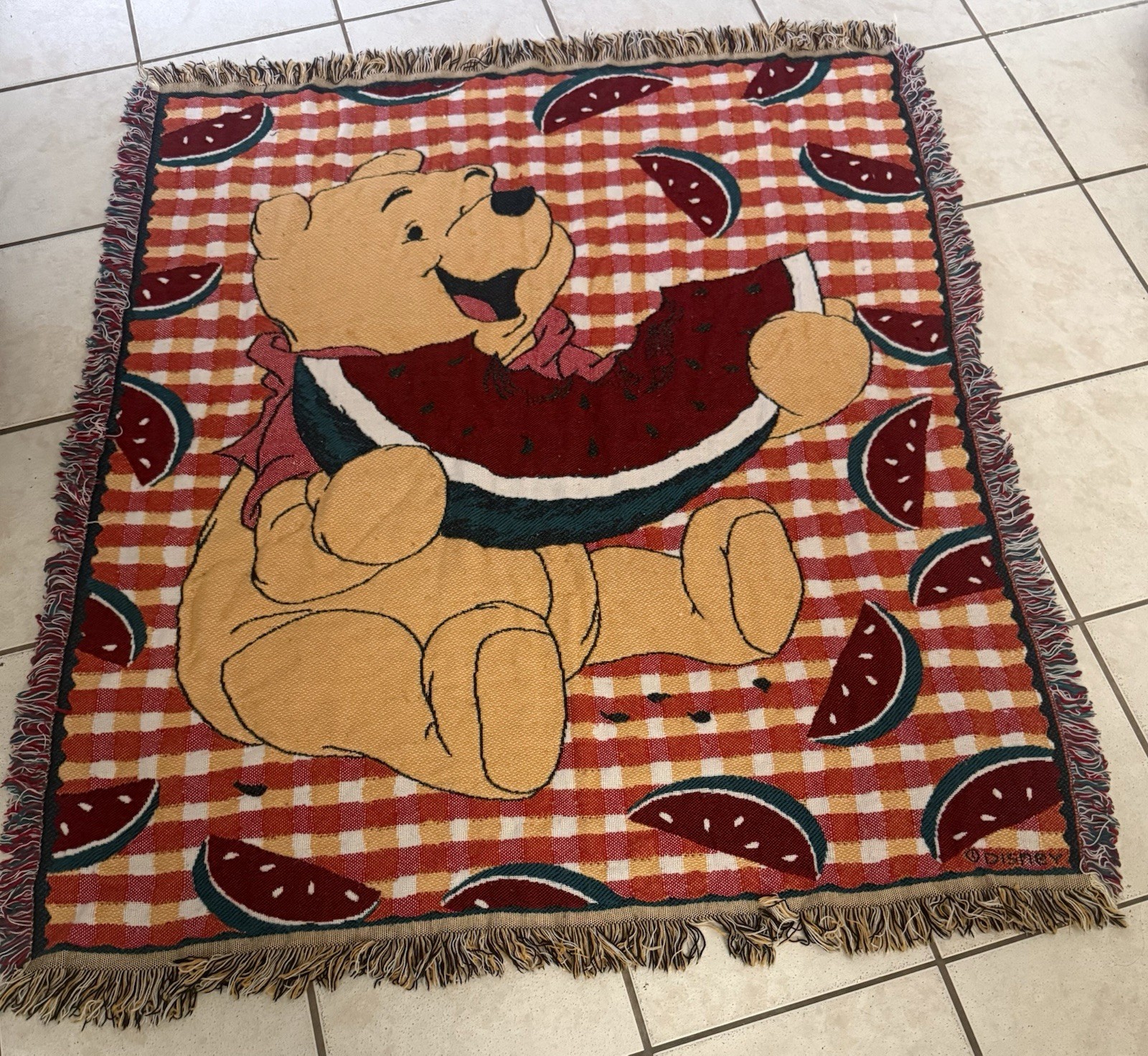 Vintage Beacon Winnie The Pooh Watermelon Tapestry Blanket Fringe Disney 48x55