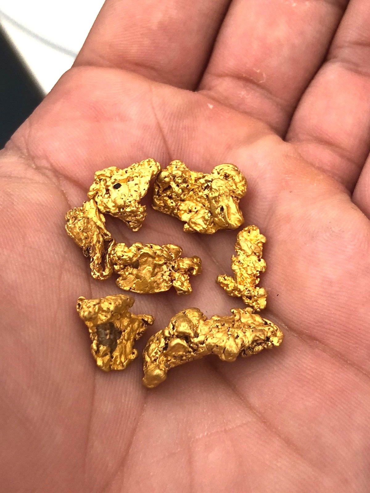 5 pounds bulk sample bag UNSEARCHED PAYSTREAK gold paydirt  LOADED WITH GOLD