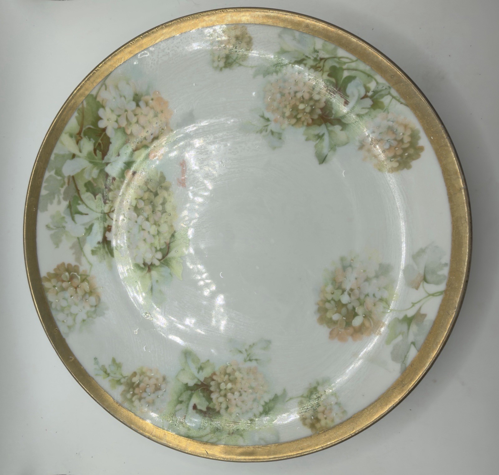 Antique O&EG Royal Austria Porcelain Plate White Snowball Hydrangea Gold Rim