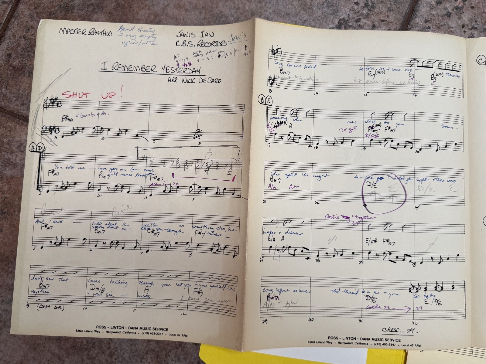 Janis Ian ORIGINAL RARE Handwritten Music I Remember Yesterday w/ COA signed