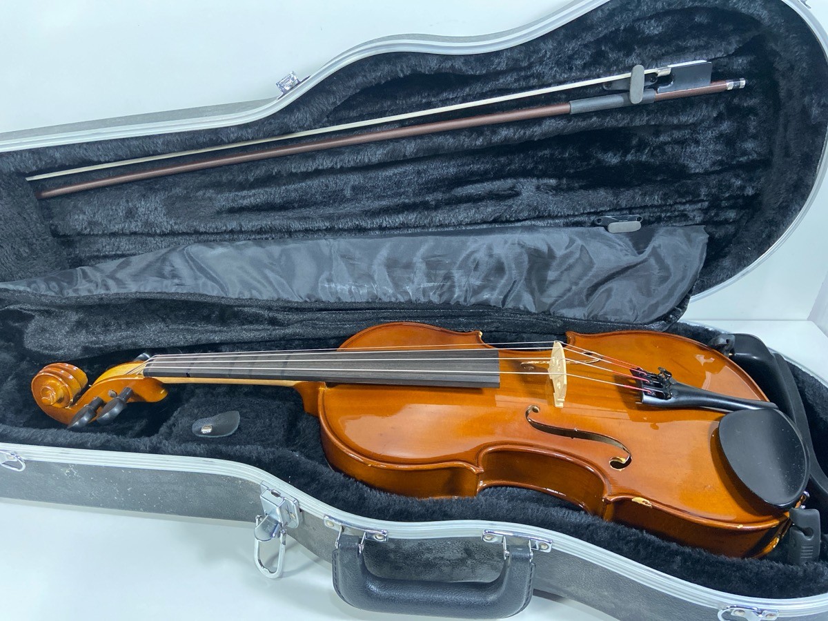 PALATINO VA-450-15 VIOLA (P03067577)