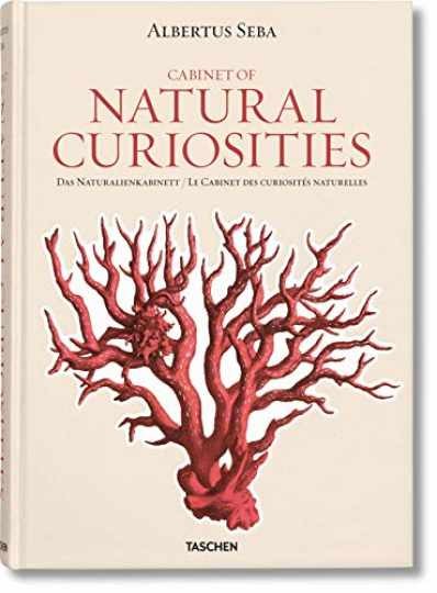 Seba: Cabinet of Natural Curiosities - Hardcover, by Seba Albertus - Very Good