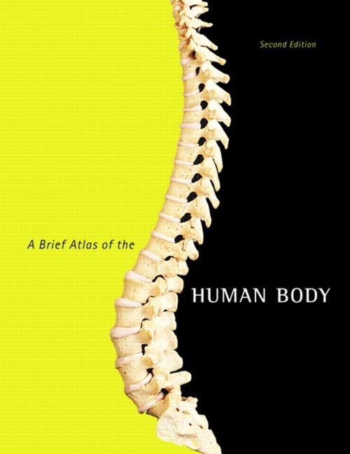 Brief Atlas of the Human Body, A, Matt Hutchinson