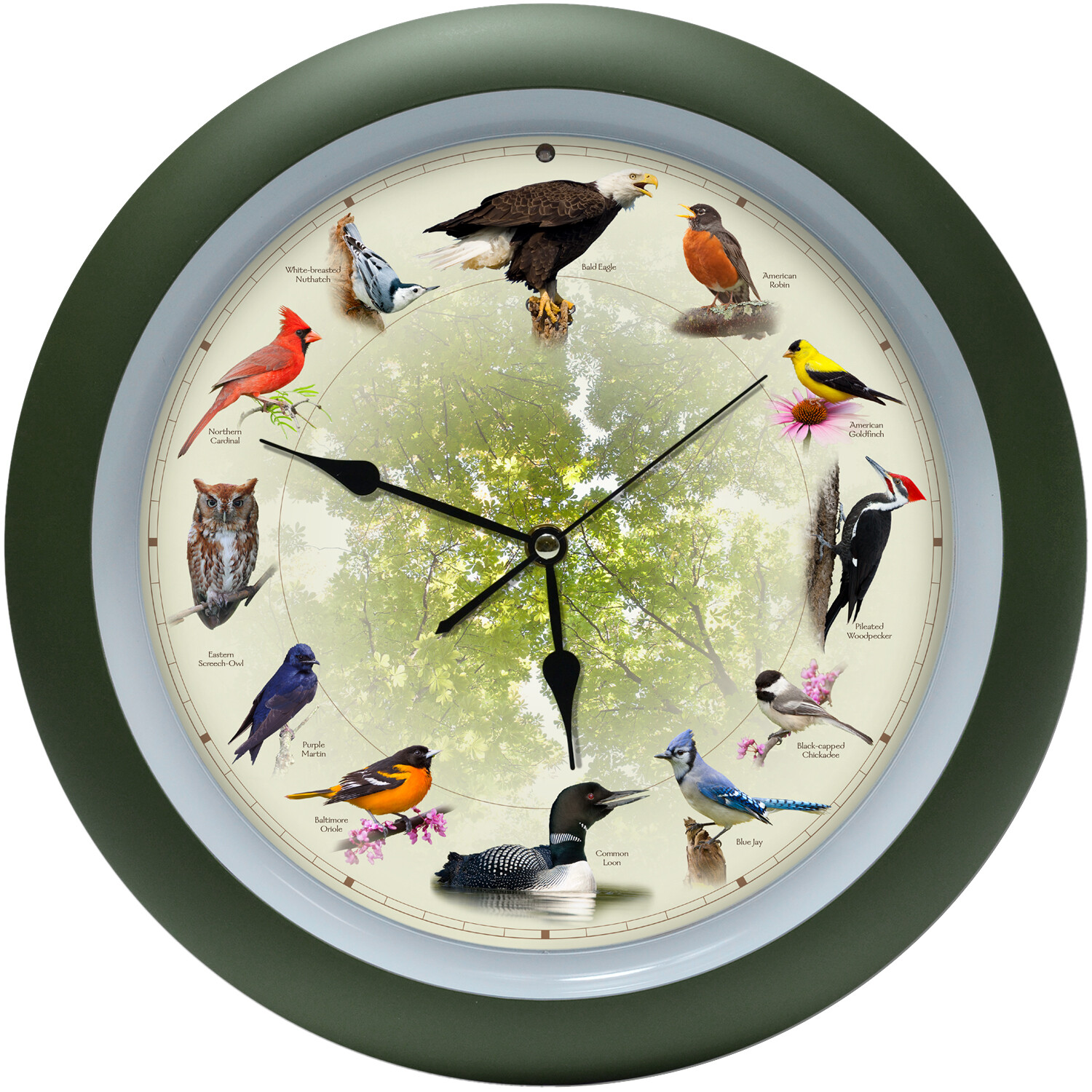 Limited Edition 20th Anniversary Singing Bird Wall Sound Clock, 13 Limited Edition 20th Anniversary Singing Bird Wall Sound Clock, 13