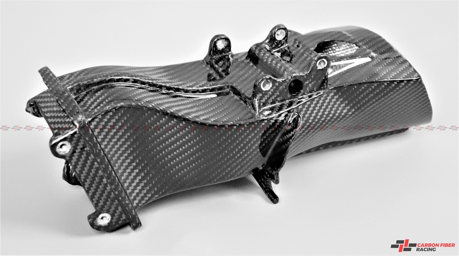 Carbon Fiber Air Intake for Triumph (Daytona 675 2006-2013) (Legend TT 1999-02)