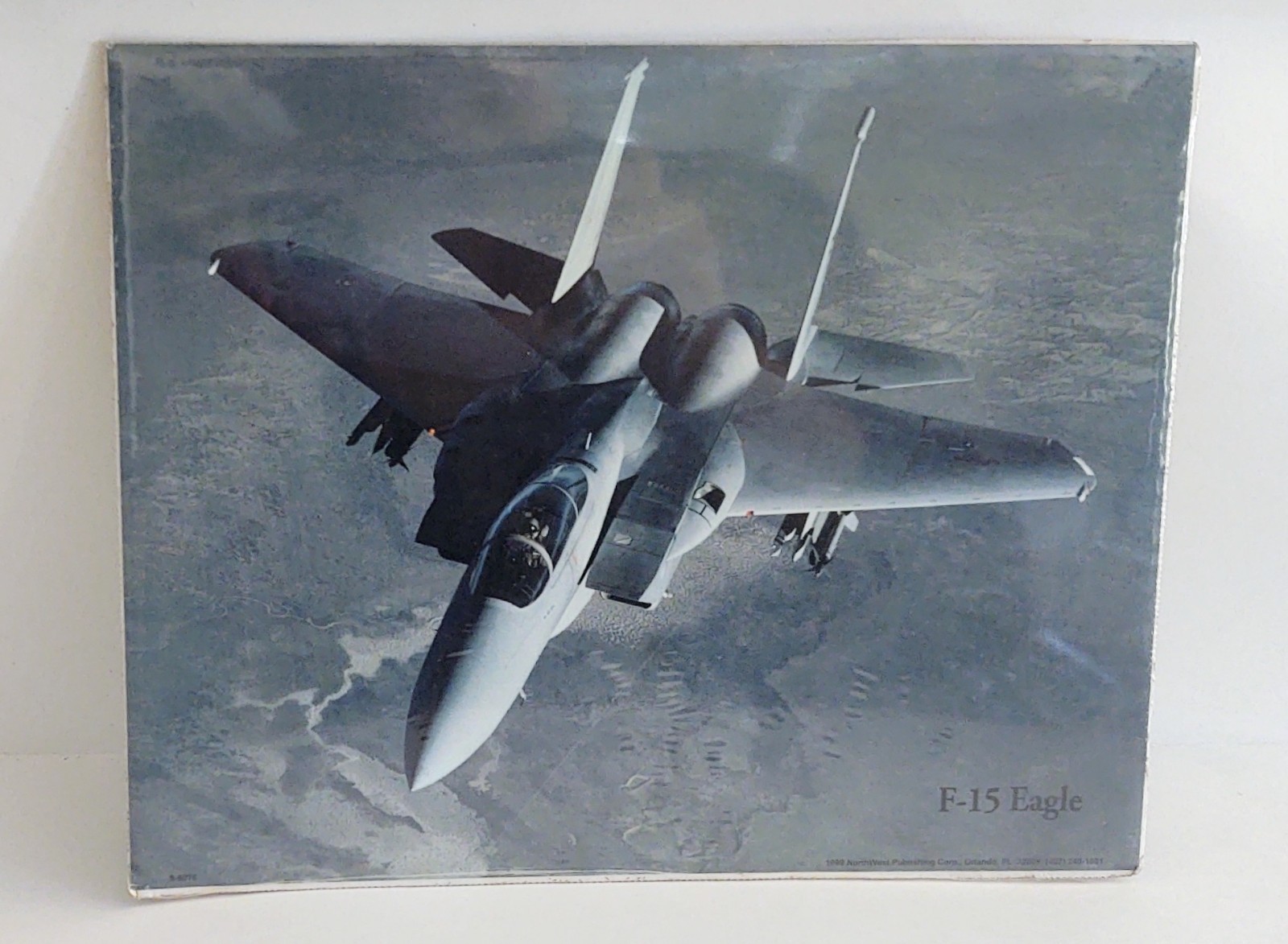 1999 Vintage McDonnell Douglas F-15 Eagle Poster Print 8 1999 Vintage McDonnell Douglas F-15 Eagle Poster Print 8