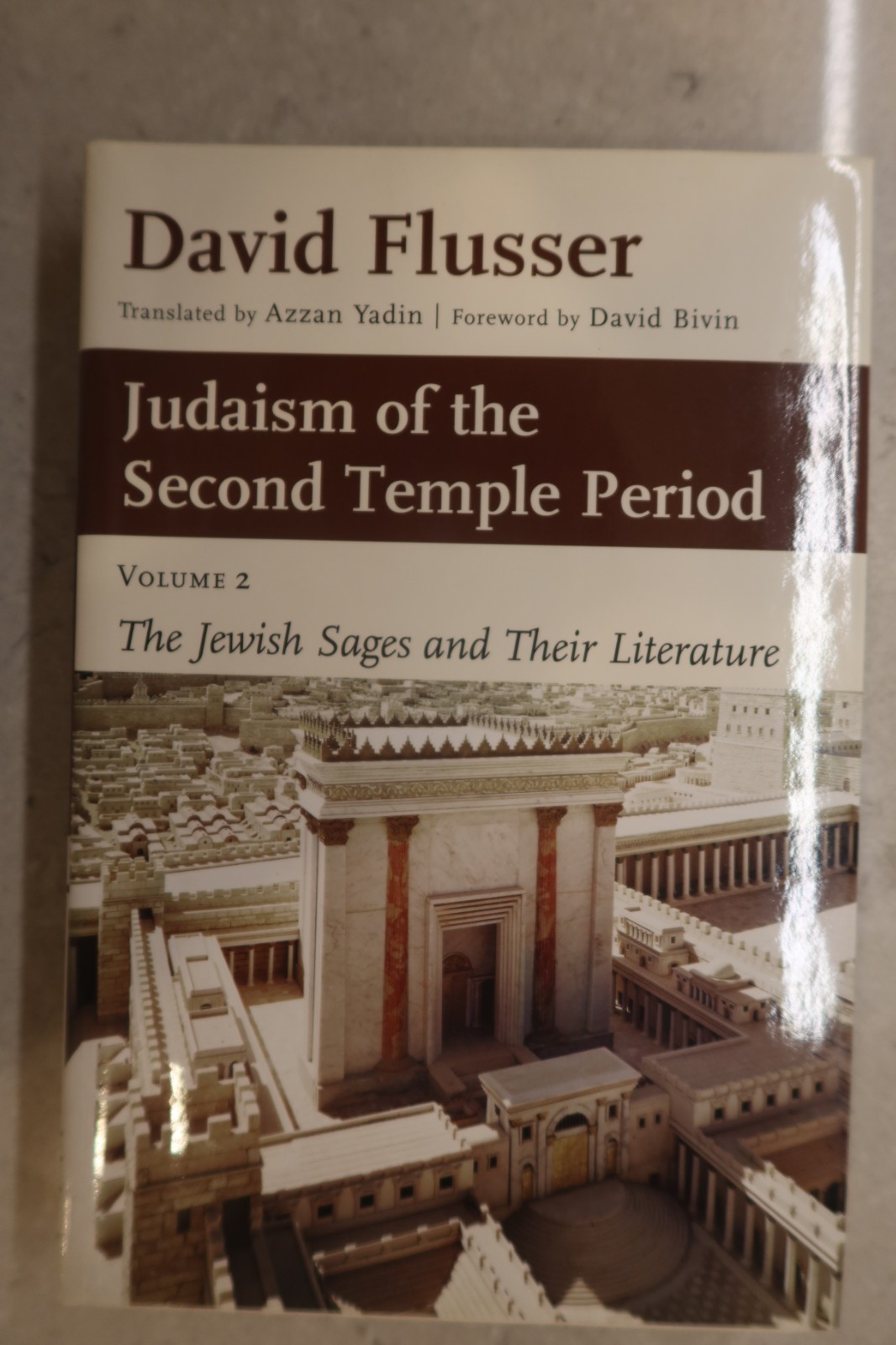 Judaism of the Second Temple Period : The Jewish Sages and Their literature VOL2 Judaism of the Second Temple Period : The Jewish Sages and Their literature VOL2