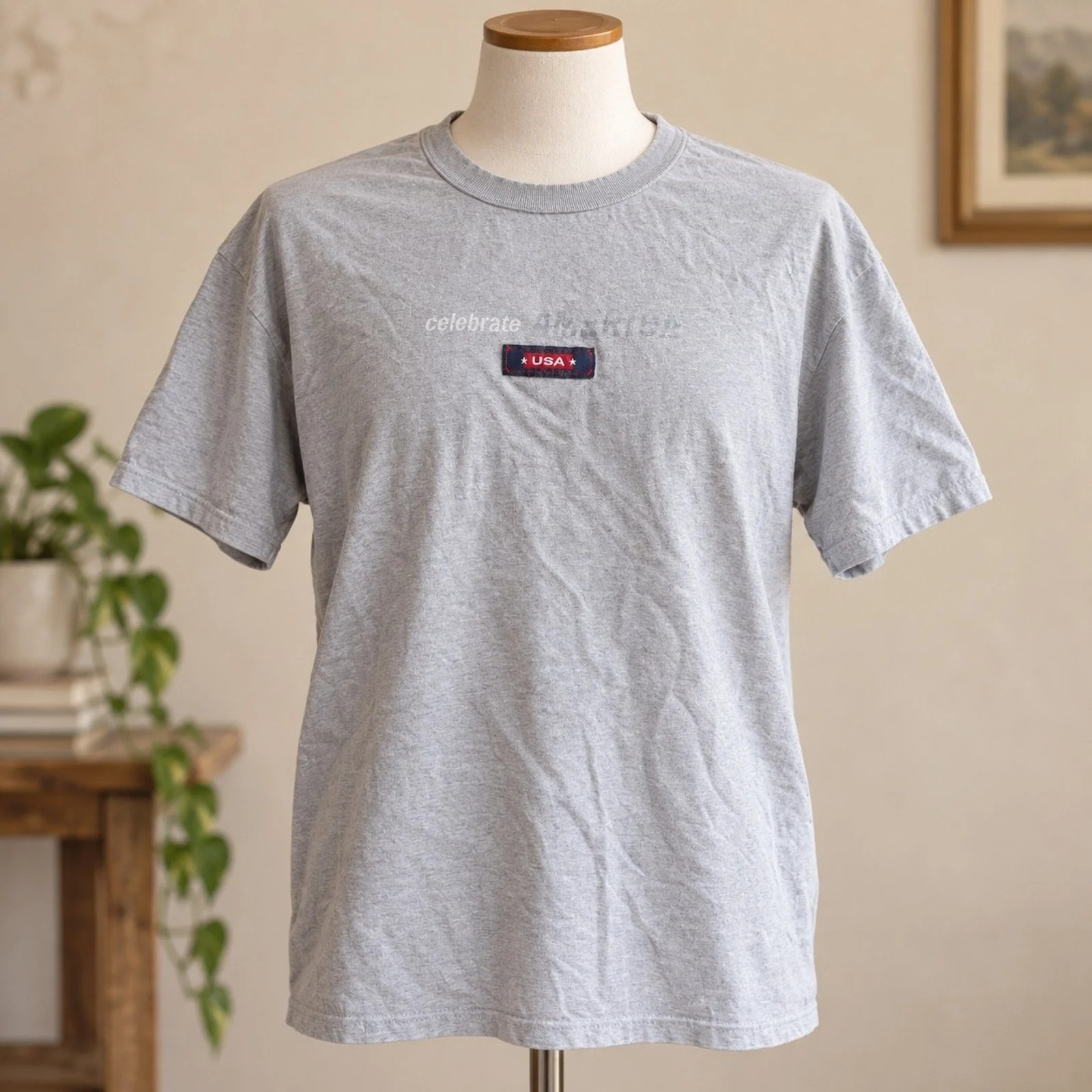 Vintage 2001 USA Celebrate America Graphic T-Shirt Gray Adult Large L 50/50 Vintage 2001 USA Celebrate America Graphic T-Shirt Gray Adult Large L 50/50