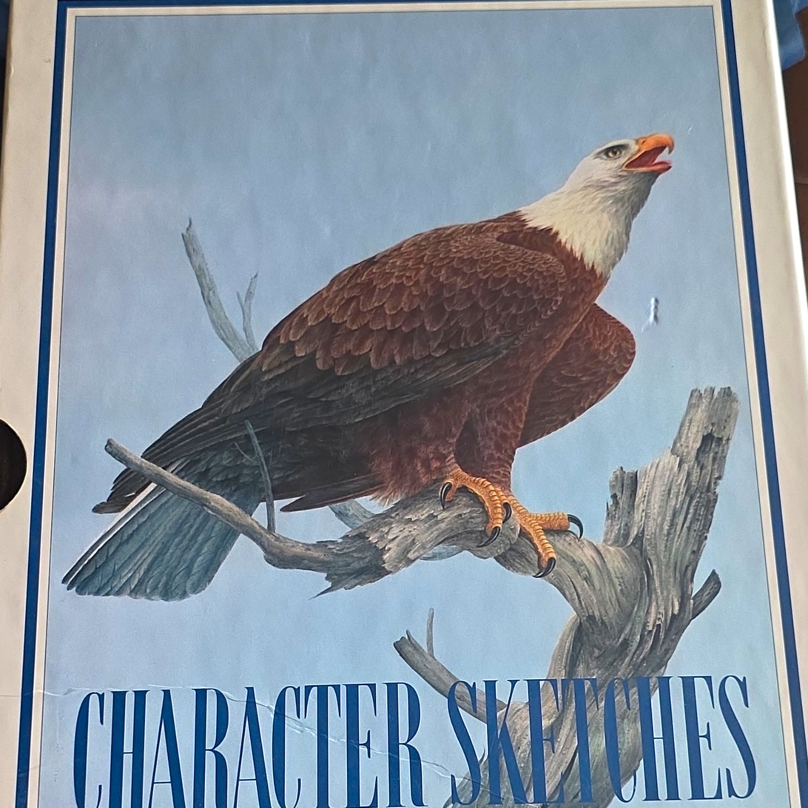 Character Sketches scriptures Illustrated Hardcover Christianity Nature Character Sketches scriptures Illustrated Hardcover Christianity Nature