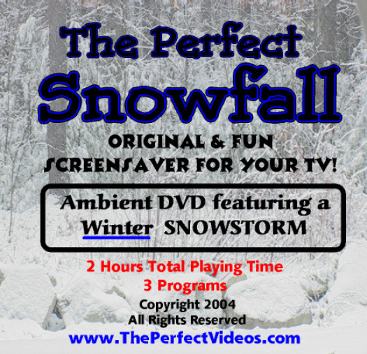 The Perfect Snowfall Snow DVD Winter SNOWSTORM Video Blowing Snow Scenes Snowing