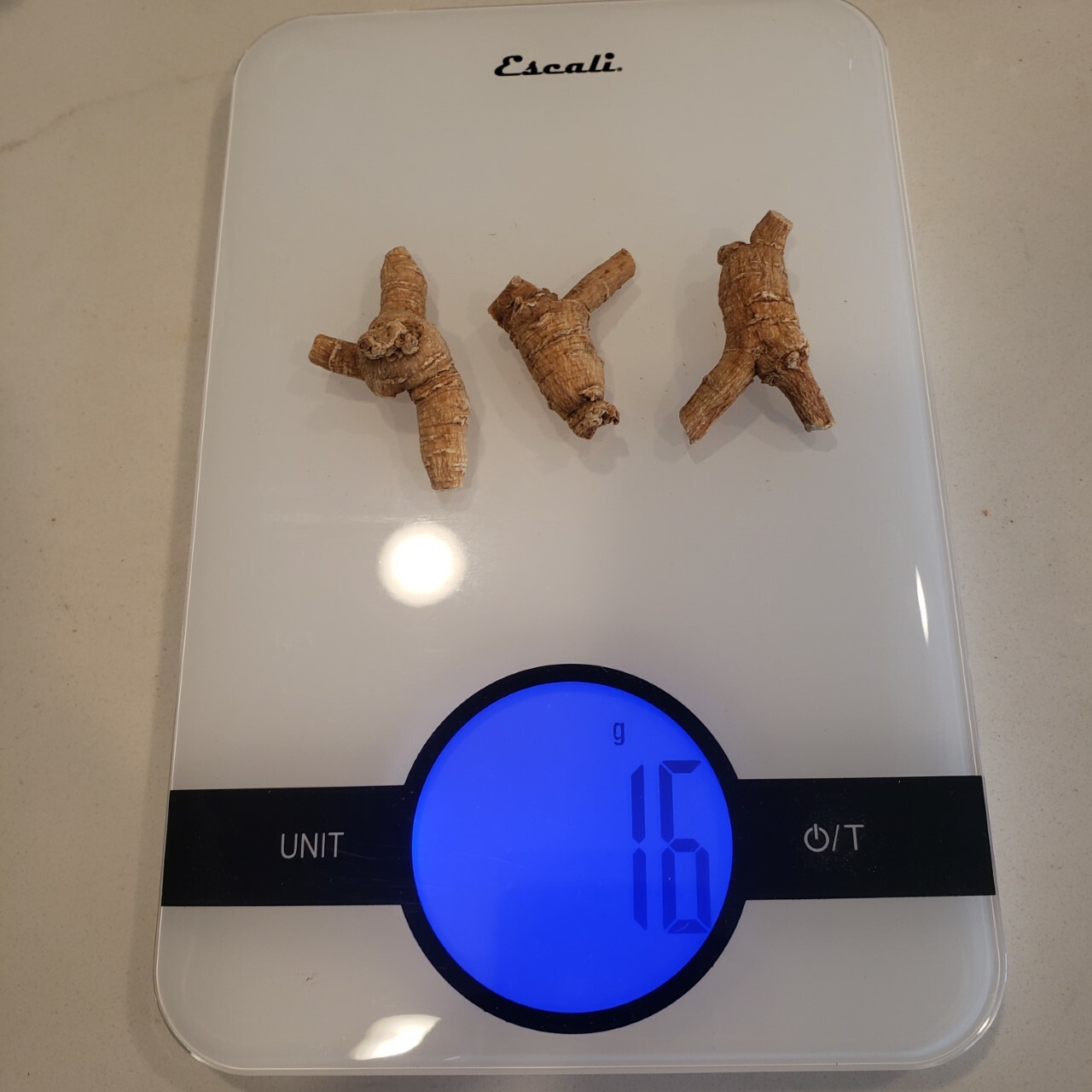 1 lb 16oz American Ginseng S / L / XL Round Root US Seller 美国花旗参
