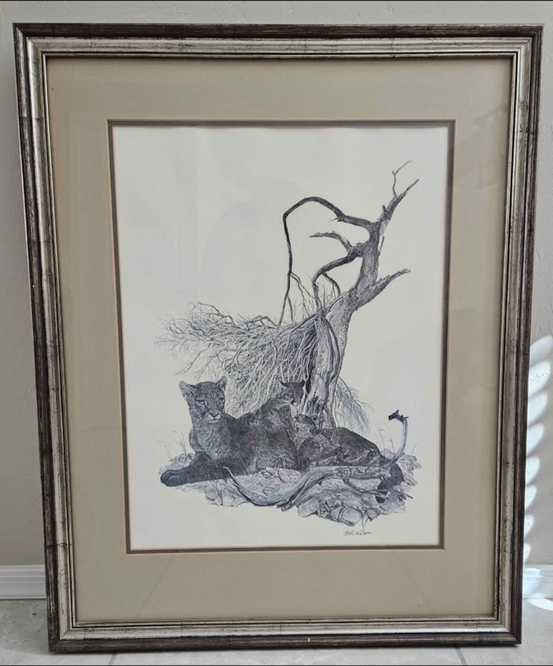 Vtg 70s Wildlife Artist Nick Wilson\'s Mountain Lions Framed Print 30.5\