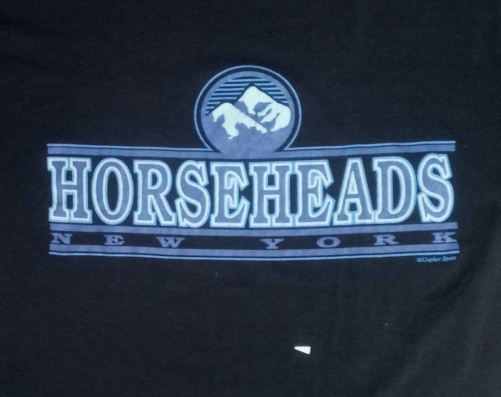 vintage distressed Horseheads New York t-shirt 50/50 thin Yankees Jets