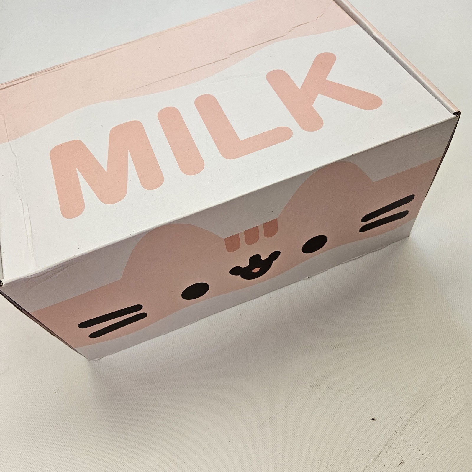 Spring 2023 Pusheen Spring \