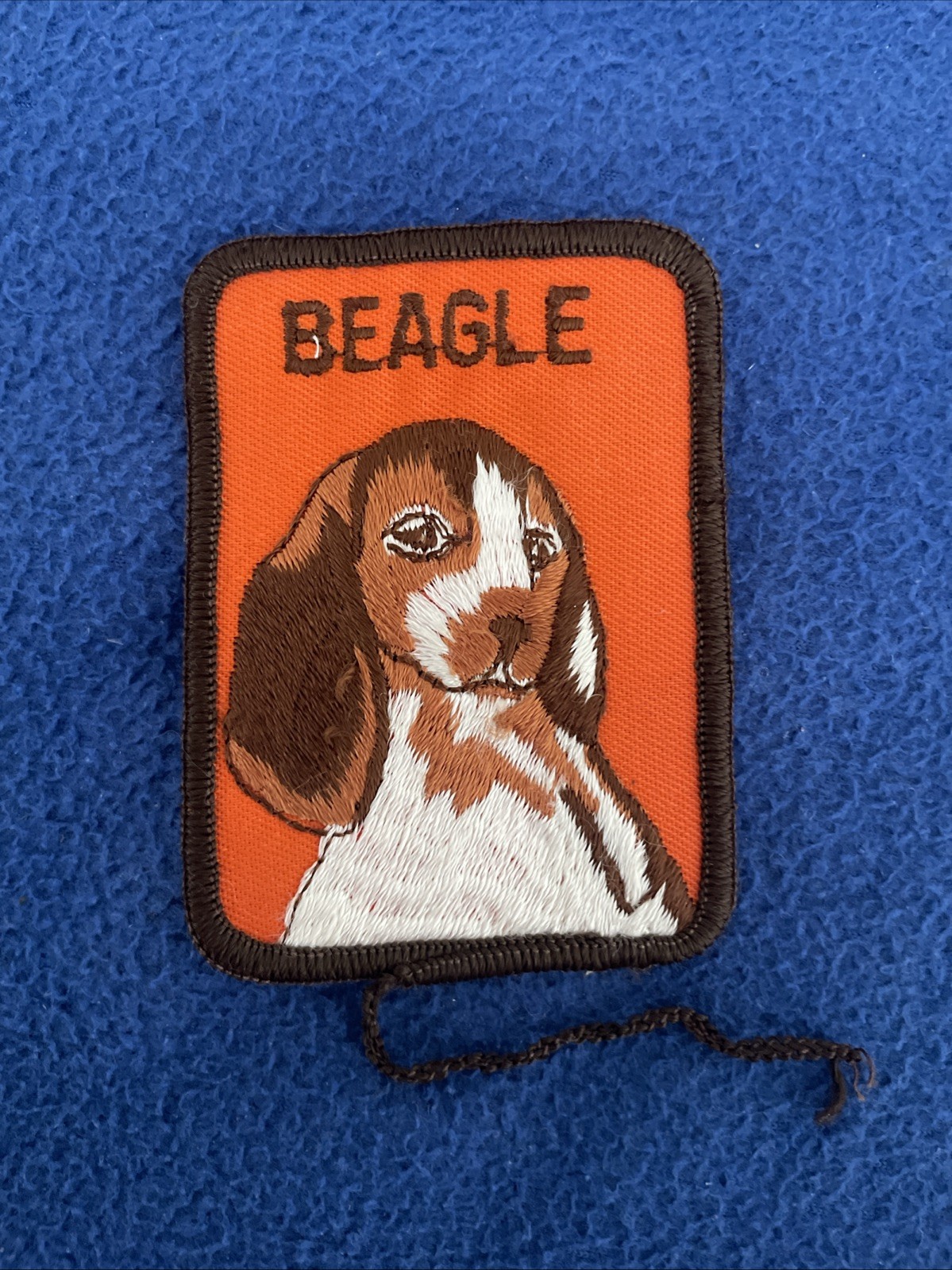 Vintage Beagle Dog Breed Kennel Show Jacket Patch New