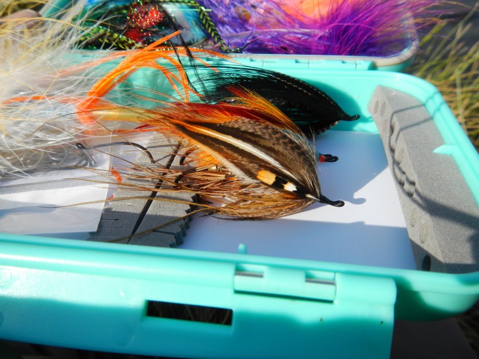 Tube Fly Box Irideus Tribute Hold Tube Flies  Conehead flies  Steelhead flies 