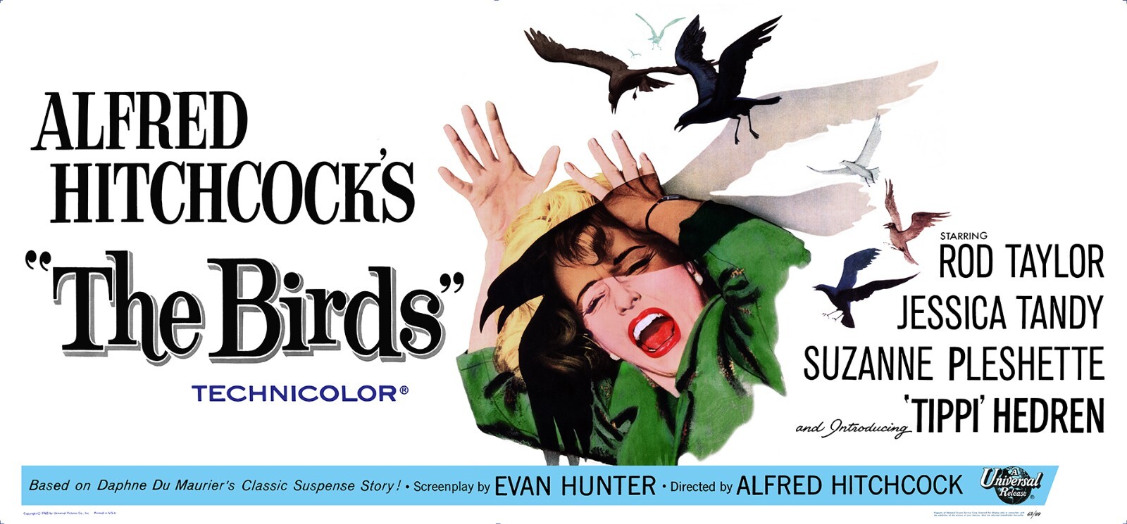 THE BIRDS (1963) HUGE 27\