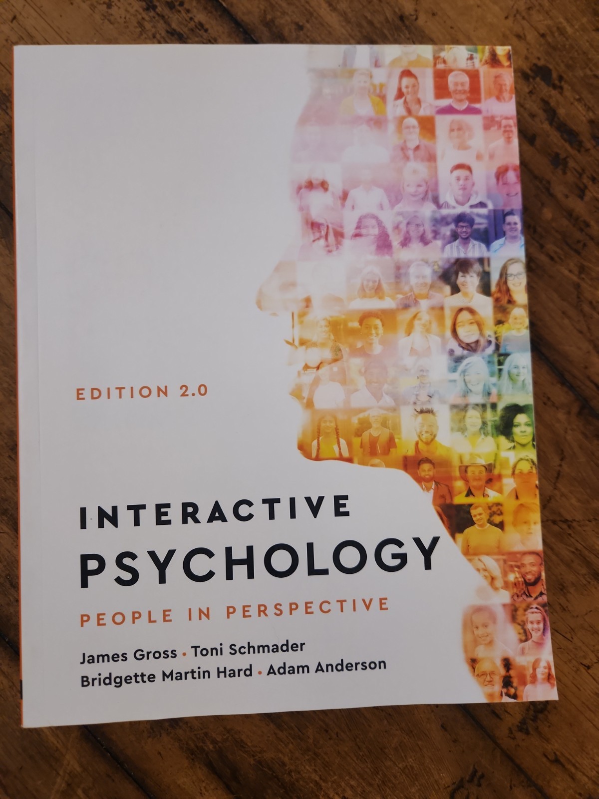 Interactive Psychology  People In Perspective Edition 2.0