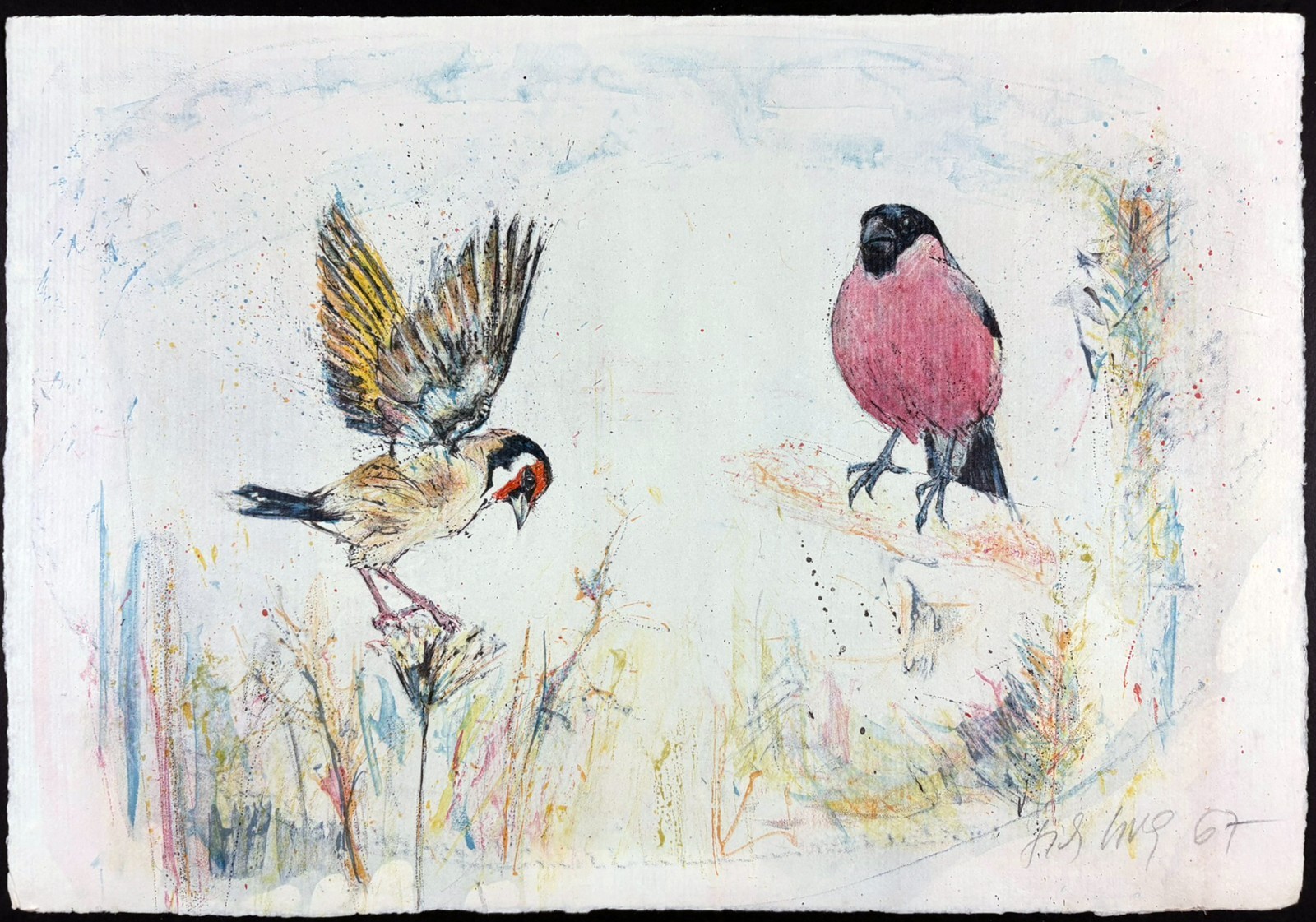 Fritz Rudolf Hug Hand Signed Lithograph Birds 1967 Muster Unverkäuflich
