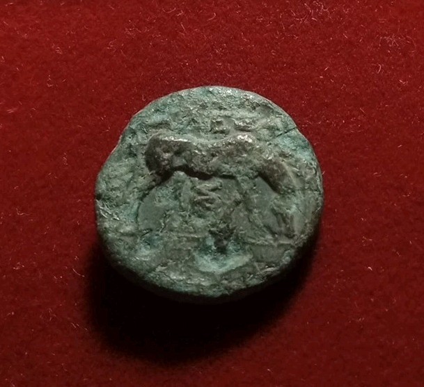 Troas, Alexandria Troas Æ16 Laureate head of Apollo to right / Horse grazing