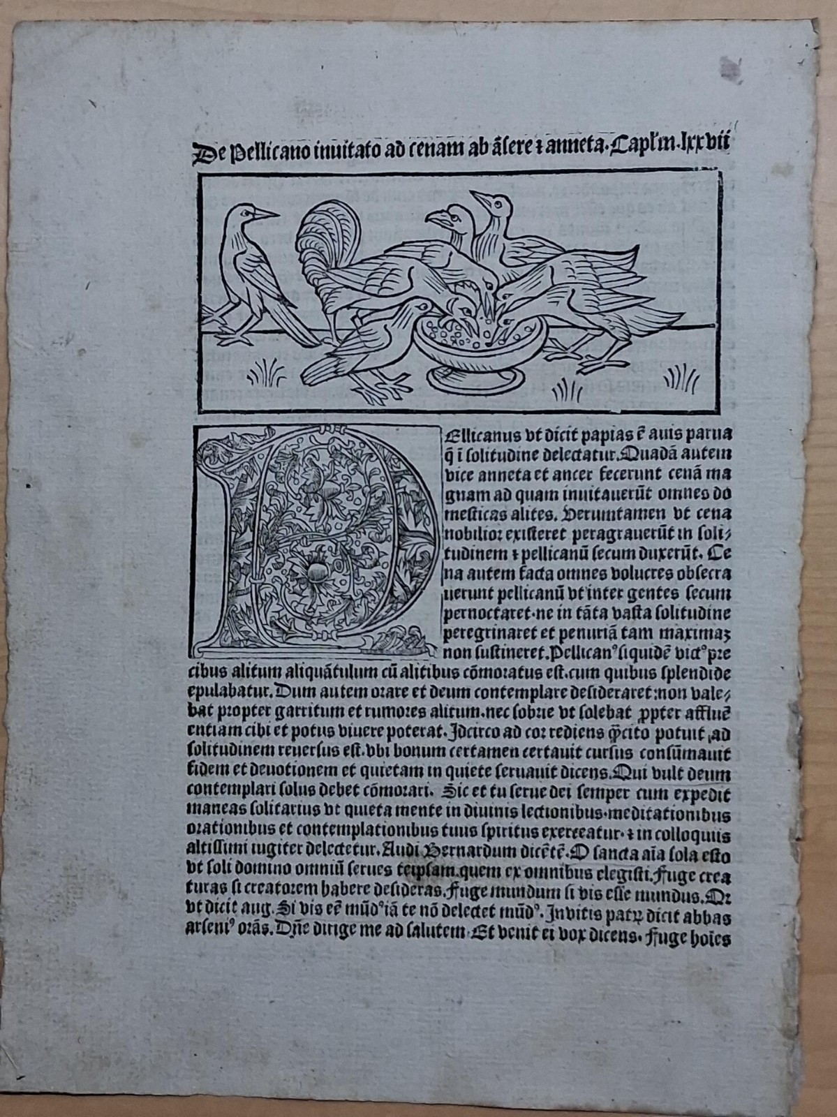 15th Century - Page from Book of Fables – Woodcut Illustrations