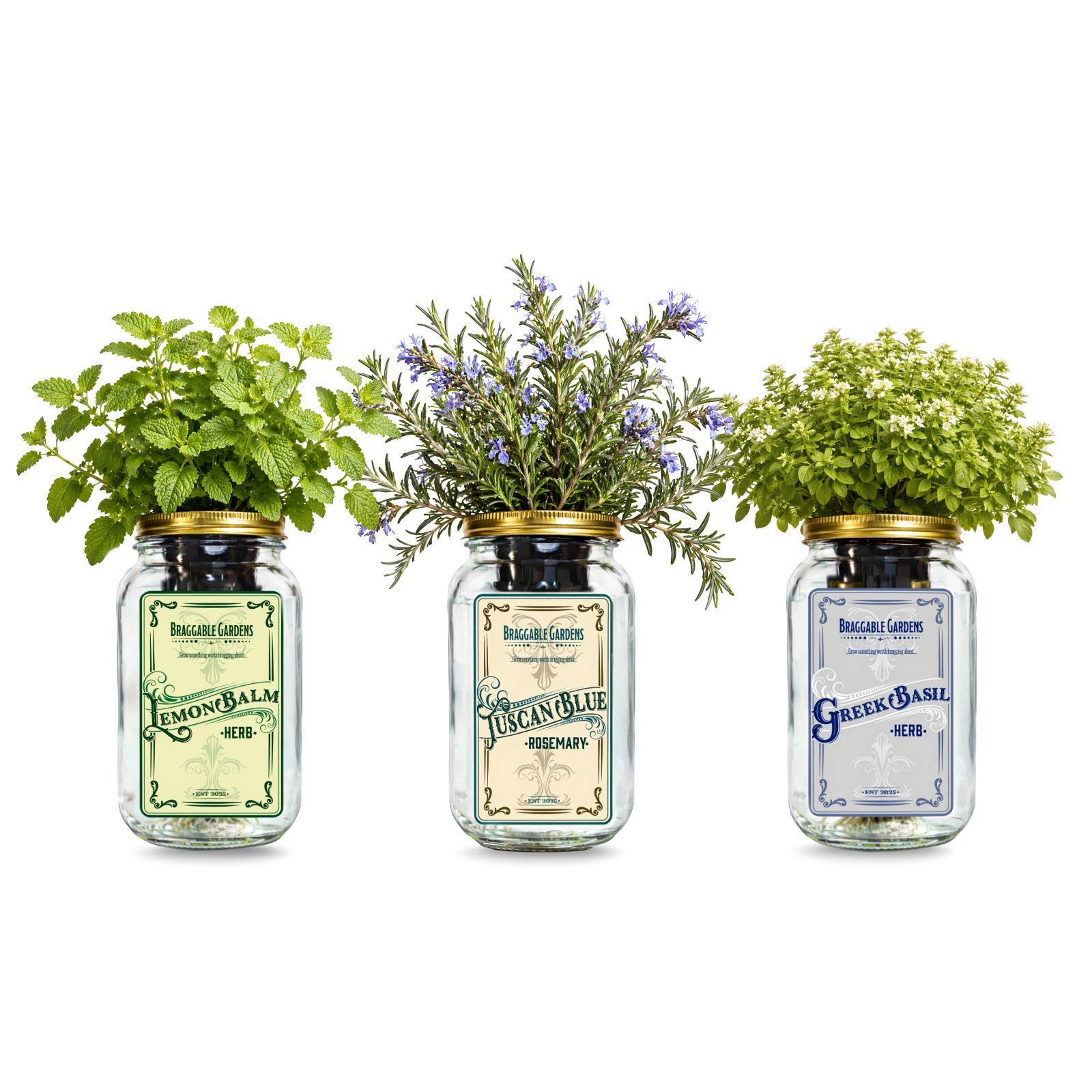 Chef Herb Garden Mason Jar Kit 3 Pack Rosemary Greek Basil Lemon Balm Grow Kit