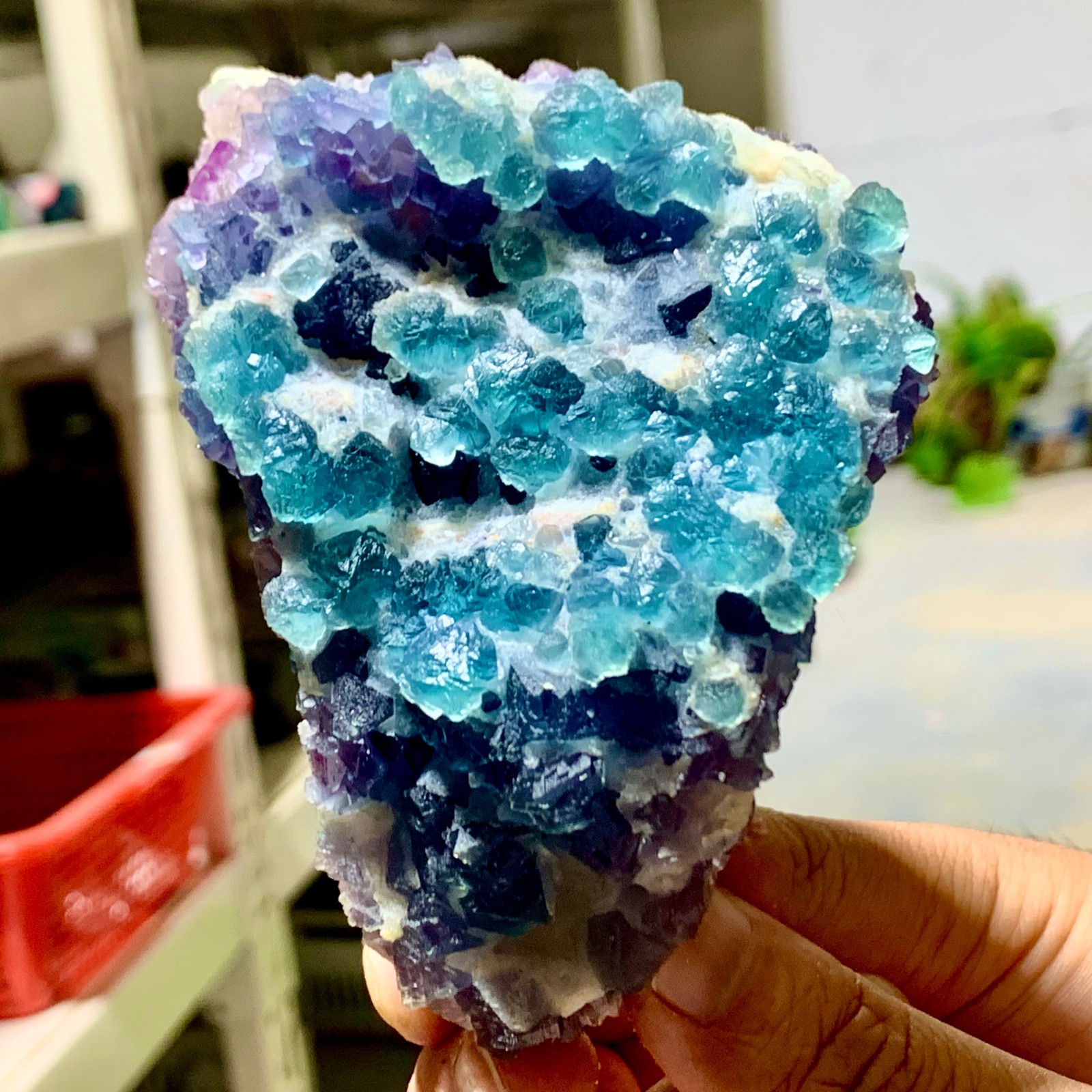 311G Natural transparent purple+green Octahedral fluorite mineral crystal sample