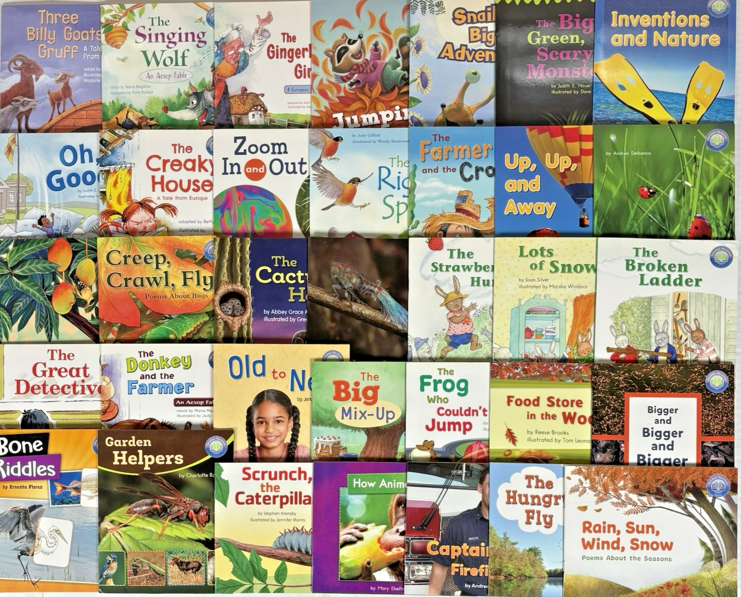 1st GRADE READERS Homeschool Reading Books Fountas & Pinnell - Lot of 35