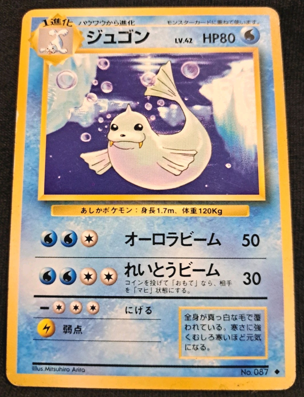 1996 Pokemon Japanese Base Set Dewgong No.087 Uncommon Vintage 1996 Pokemon Japanese Base Set Dewgong No.087 Uncommon Vintage