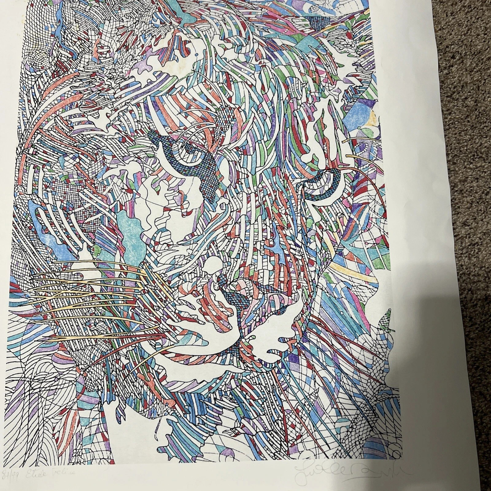 Etude Feline - Guillaume Azoulay Signed /Numbered  COA. Cat 