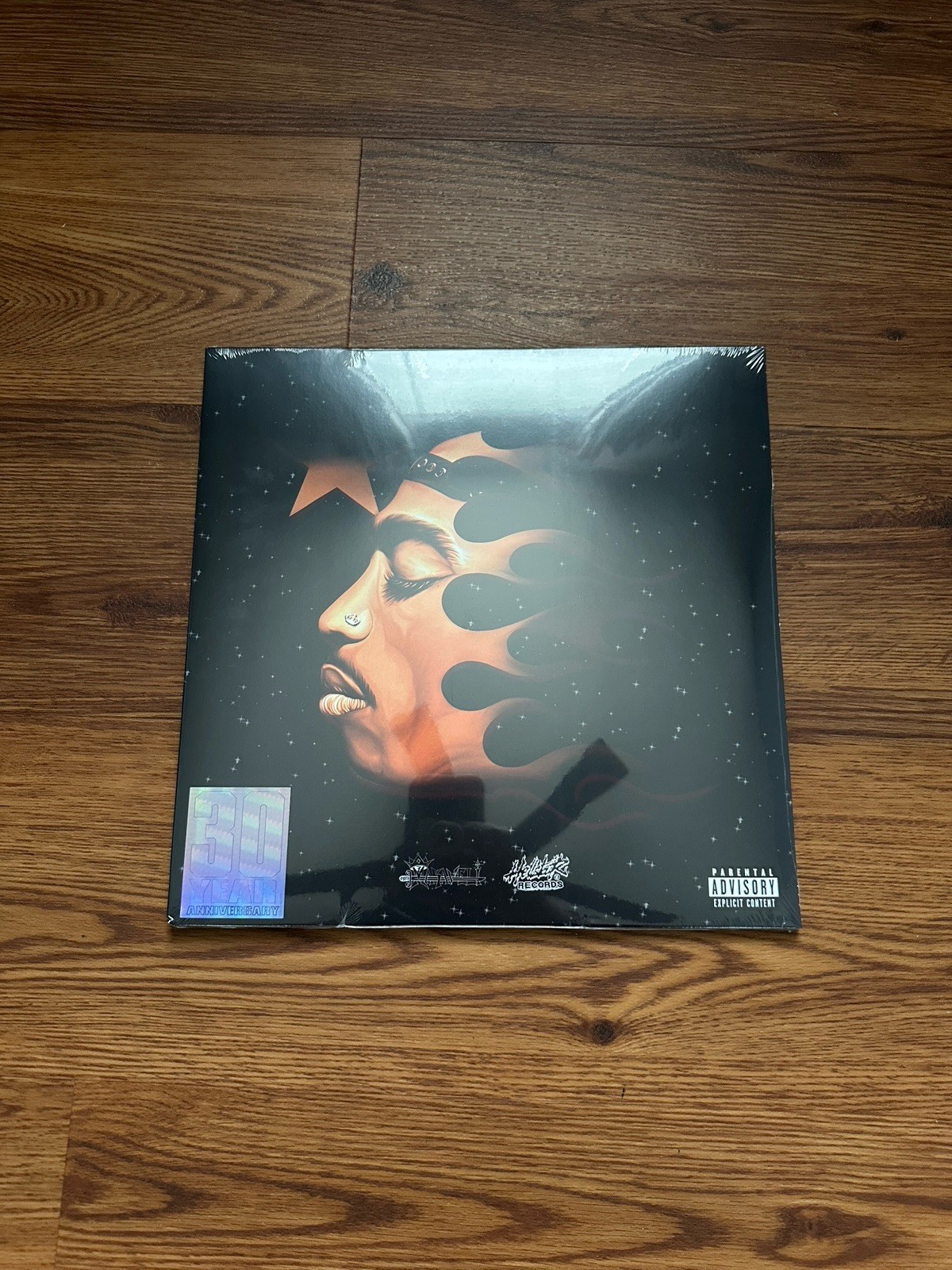 Hellstar Makaveli 2pac Tupac Vinyl Record ComplexCon Exclusive 2026 Limited Rare Hellstar Makaveli 2pac Tupac Vinyl Record ComplexCon Exclusive 2026 Limited Rare