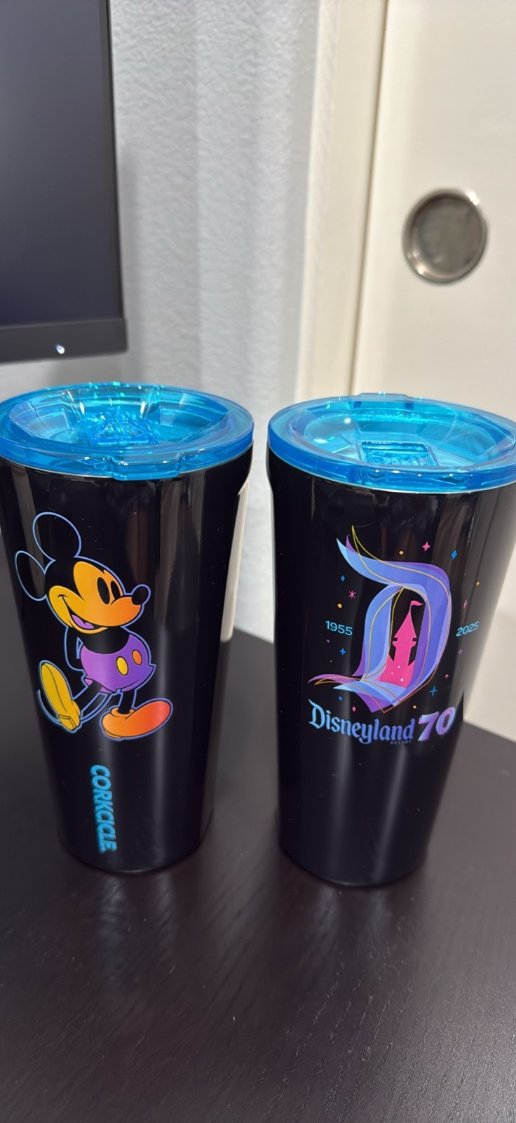 Disneyland 70th Anniversary Corkcicle Tumbler - Limited Edition Souvenir.