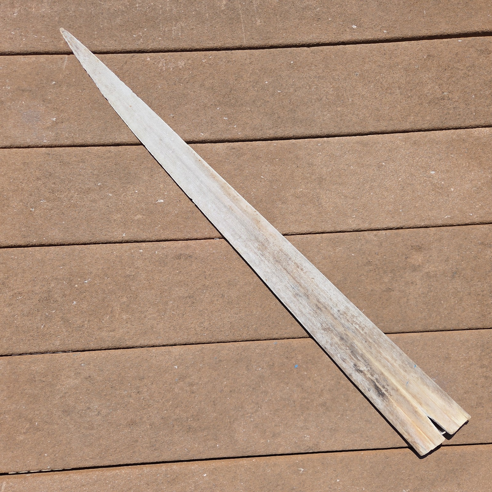 Swordfish Bill All Natural Authentic Sword OBX Dried Unfinished Art Display 29\