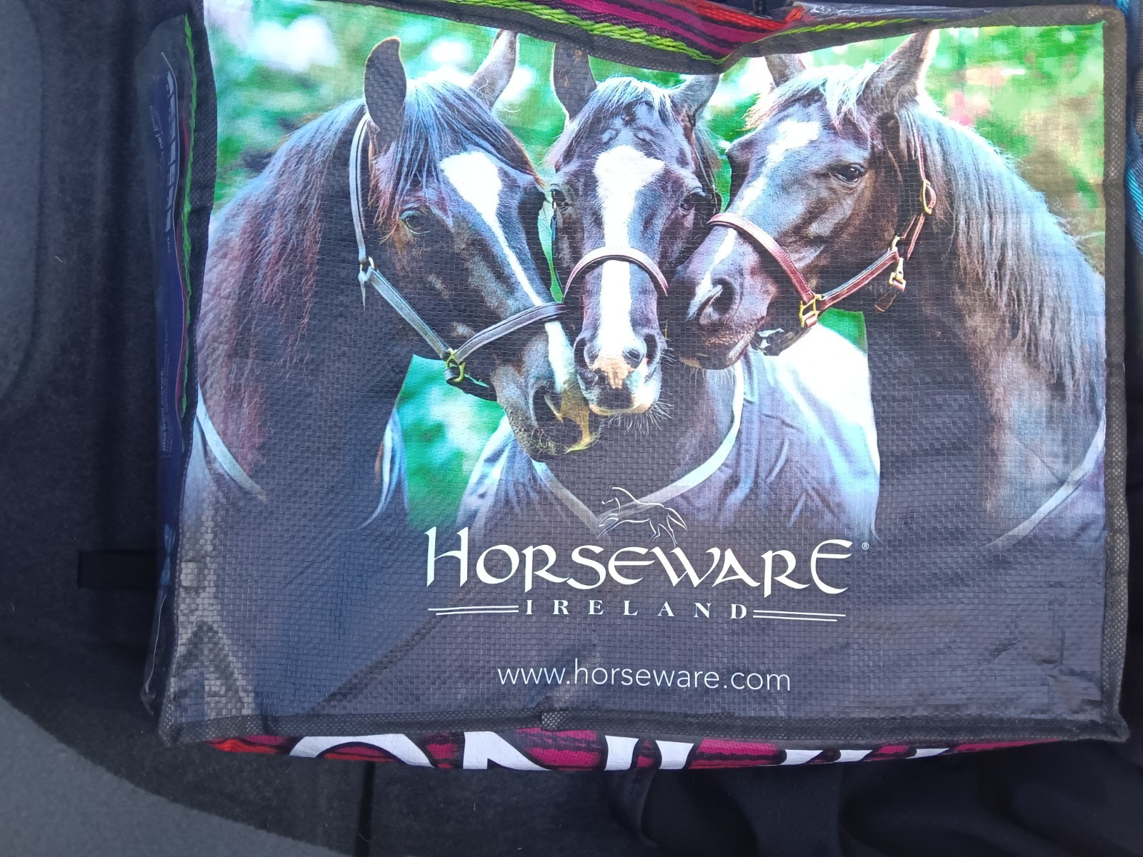 HORSEWARE Ireland Amigo 900 with Disc Front