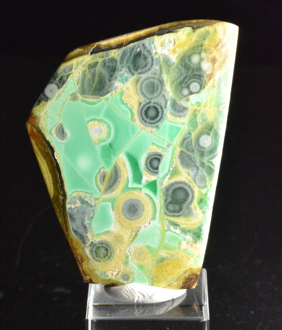 Variscite, Clay Canyon, Oquirrh Mountains, Utah, 77.45 CT