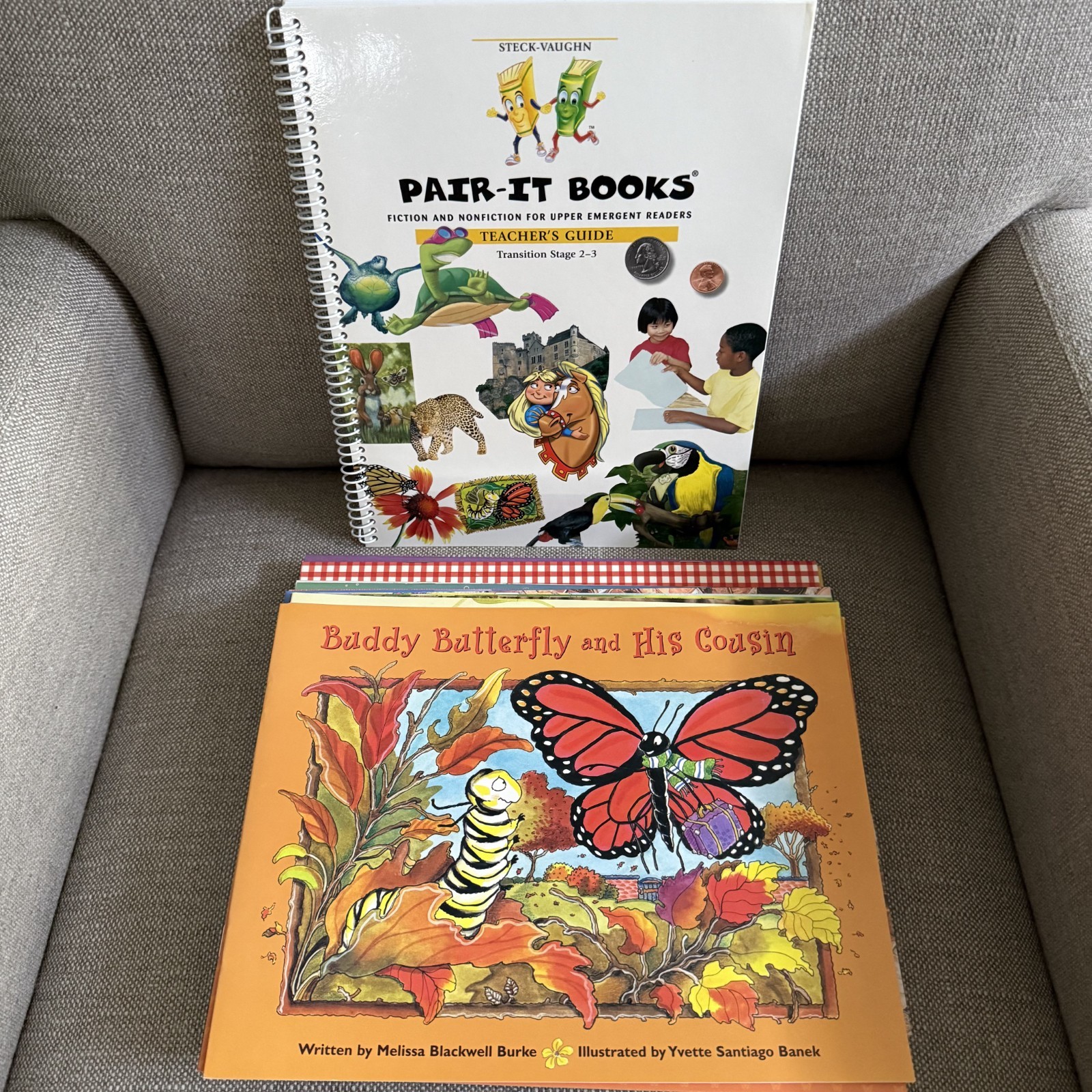 Steck Vaughn Transition Stage Classroom 2-3 Kit Teacher Guide 20 Books