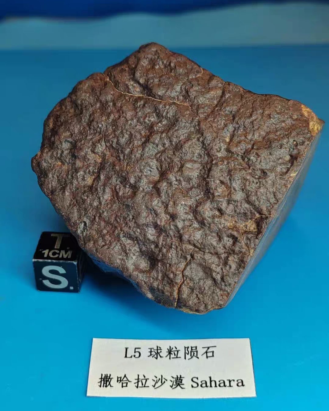 265g L5 type NWA Northwest non classical chondrite raw ore slice meteorite