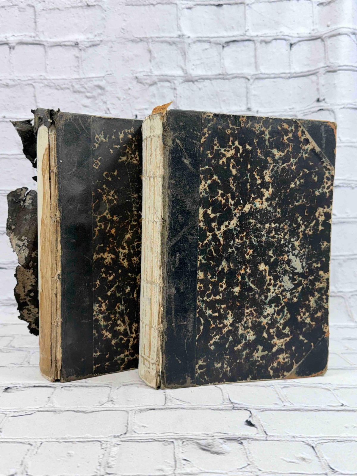 Scribner's Monthly (Volumes 19 & 22) [1880 - 1881]