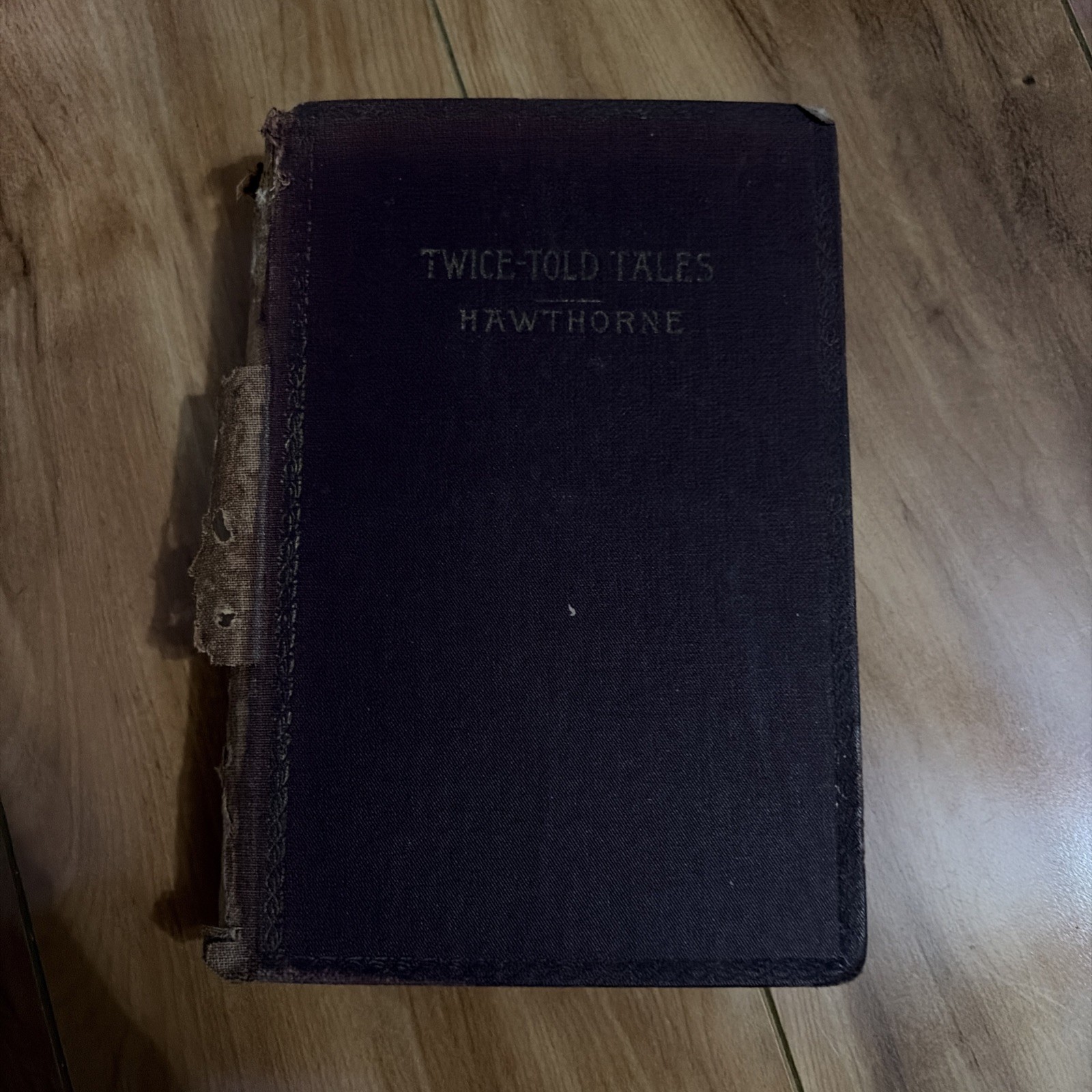 Hawthorne’s Twice Told Tales  Vintage book illustrates late 1800’s