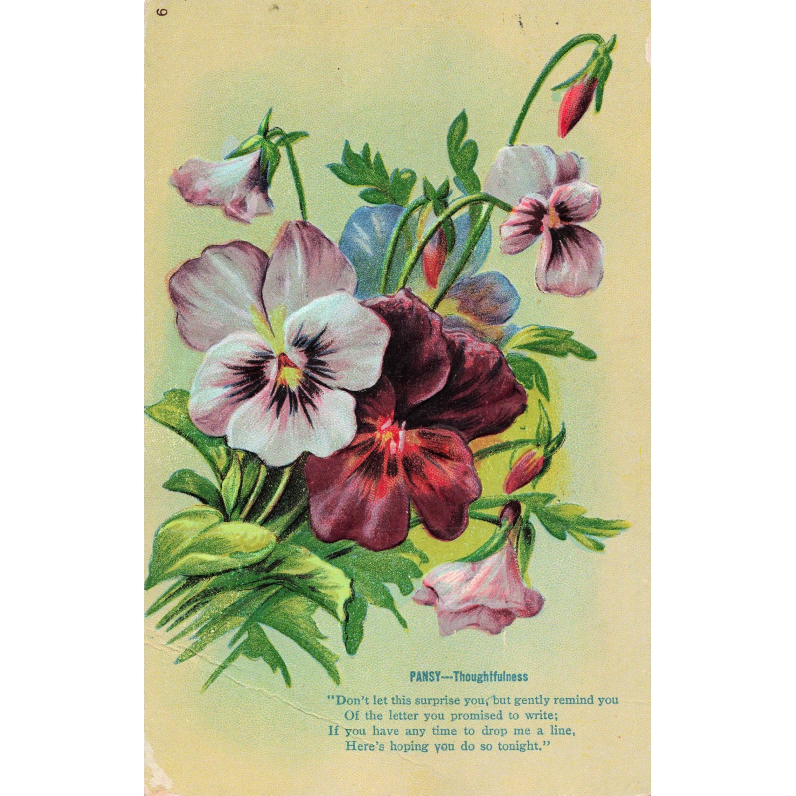 Antique Embossed Pansy Floral Flower Poem Postcard Bangor PA 1910 Divided Back
