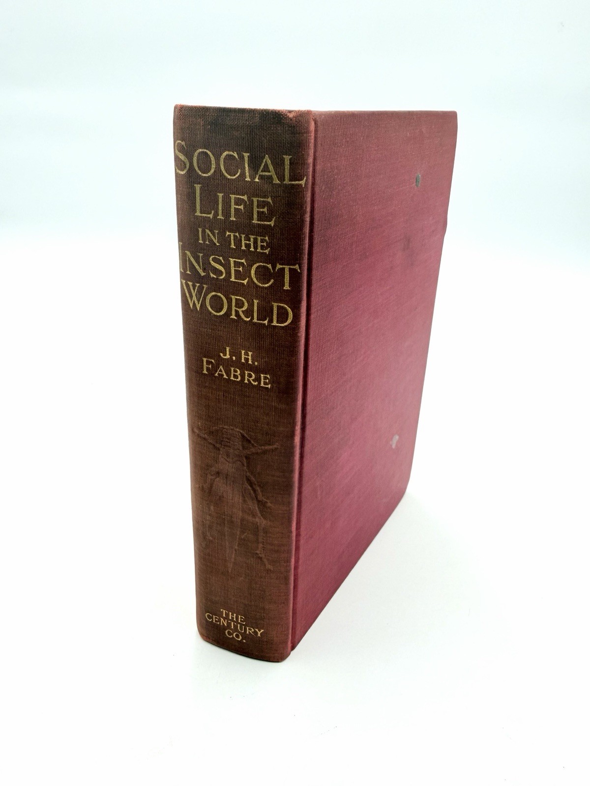 Antique 1914 Social Life in The Insect World J H Fabre illustrated HC GC RARE