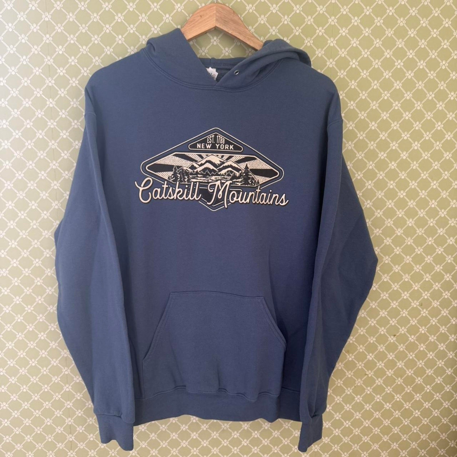 Vintage 2000s jerzees catskill mountain hoodie