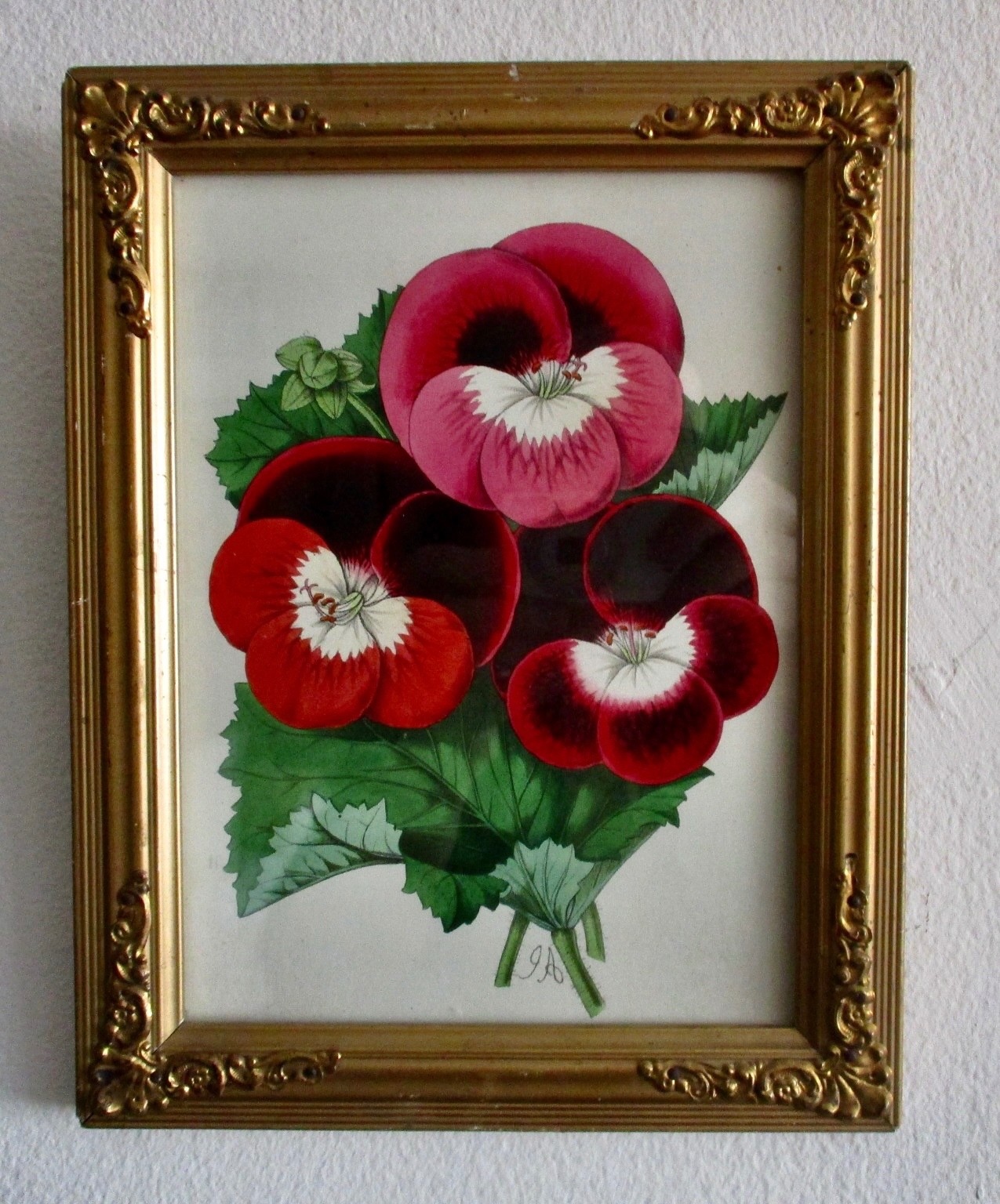 Antique Original Framed Hand-Colored LIthograph from France Antique Original Framed Hand-Colored LIthograph from France