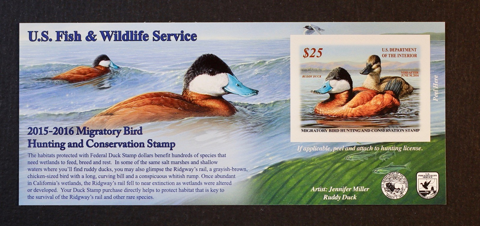 US 2015 #RW82A $25 Ruddy Duck, Federal Duck Stamp, Self Adhesive Mint NH