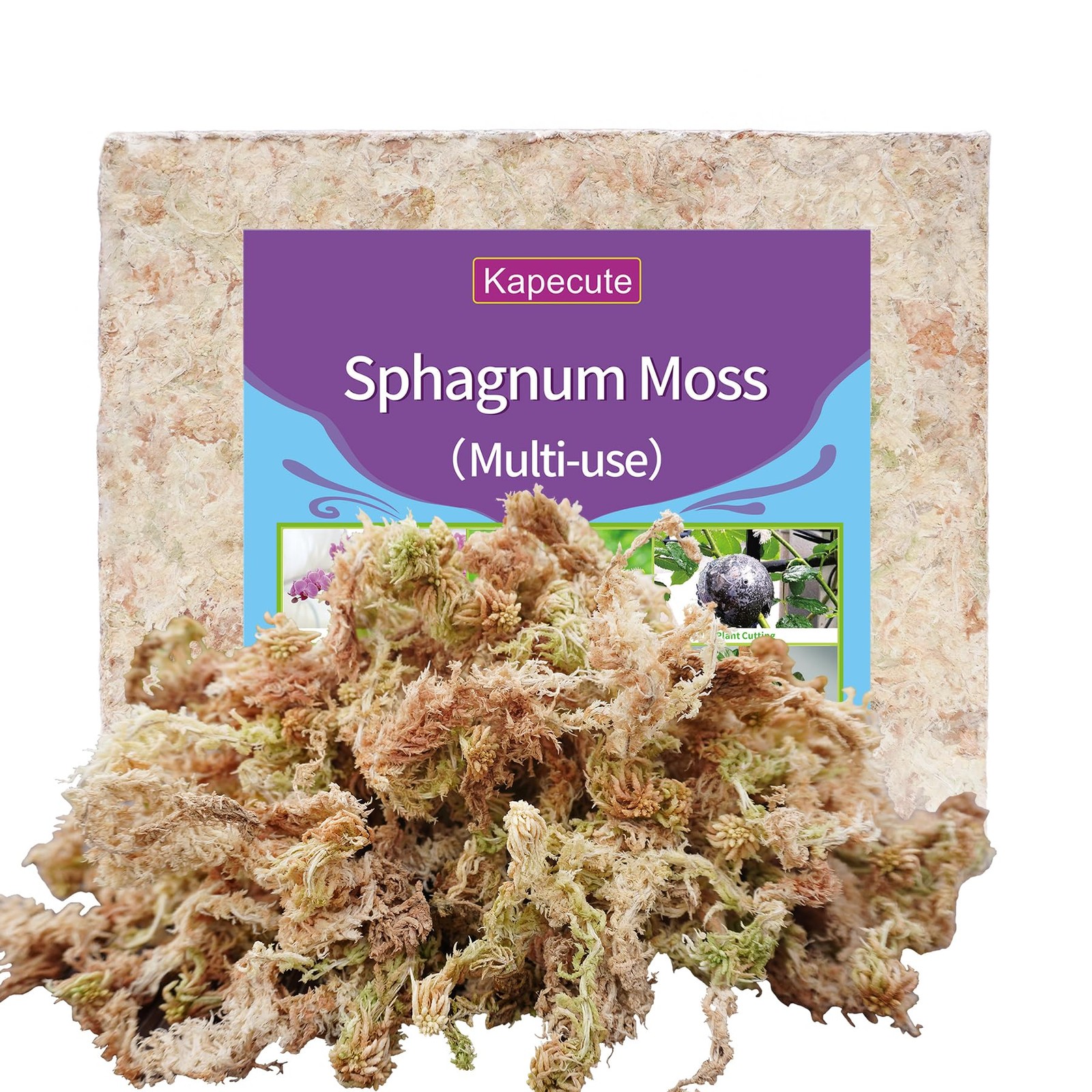 Sphagnum Moss 34QT for Plant Propagation, Great Orchid Potting Mix, Help with...