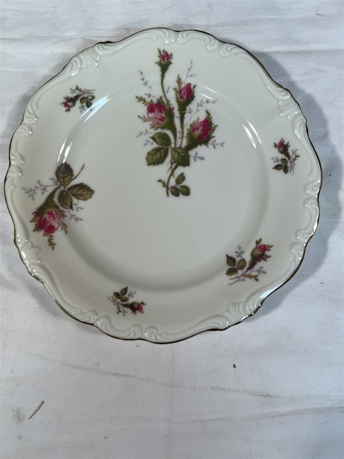 Rosenthal Moss Rose Pompadour Dinner Plate 10 Rosenthal Moss Rose Pompadour Dinner Plate 10